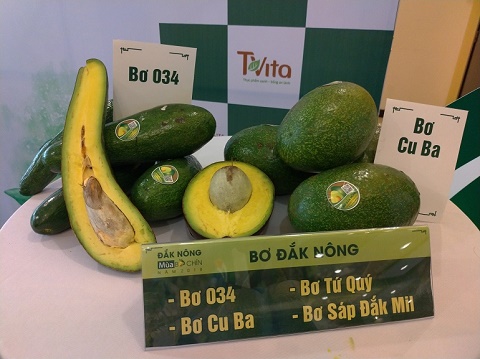 Chương trình “Đắk Nông – Mùa Bơ chín” năm 2018