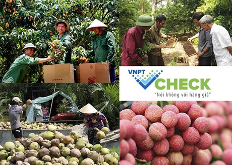VNPT Check: Nâng tầm nông sản Việt