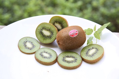 Kiwi OSCAR®- Đặc sản trái cây đến từ Pháp