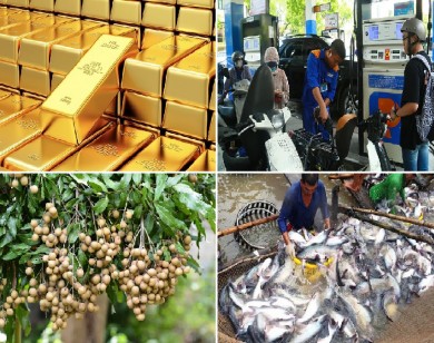 Tiêu dùng trong tuần: Giá vàng, xăng dầu, nhãn tăng mạnh, trong khi giá cá, tôm và chôm chôm giảm