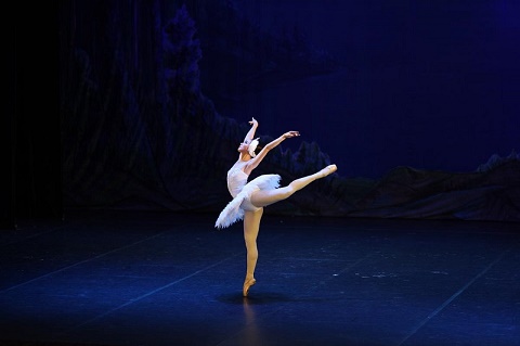 Vì sao nên thưởng thức siêu phẩm ballet Hồ Thiên Nga giữa Hồ Thiên Nga Ecopark?