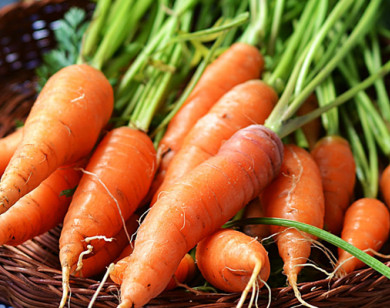 Lợi ích tuyệt vời của cà rốt với sức khỏe nam giới