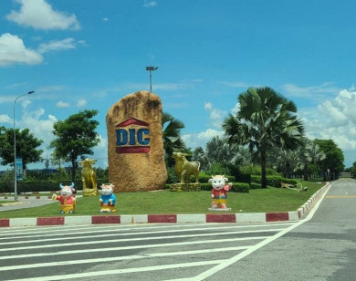 DIC chuyển nhượng hàng trăm ha đất công cho doanh nghiệp nước ngoài bằng hợp đồng liên doanh