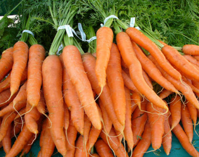 Trẻ ăn dặm có nên ăn cà rốt?
