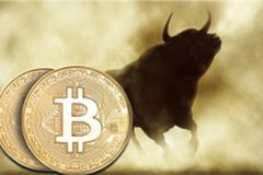 Giá Bitcoin hôm nay 31/10: Bitcoin lao dốc, nhà đầu tư vẫn lạc quan