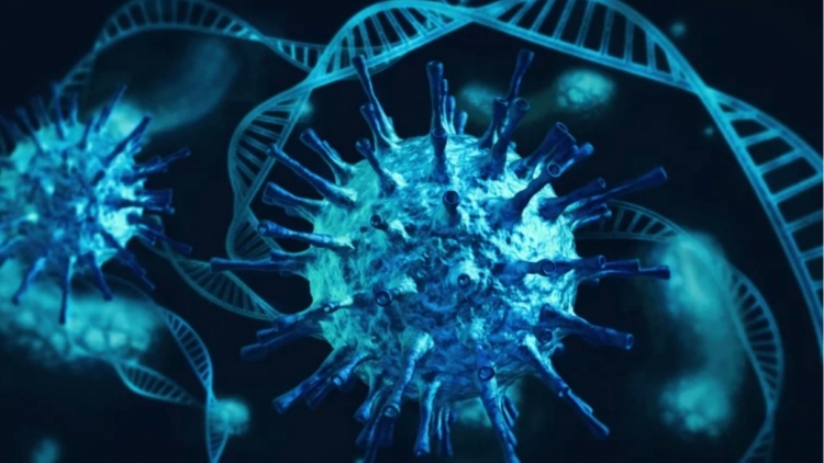 Thế giới đã biết gì về biến thể nguy hiểm Omicron của virus SARS-CoV-2?