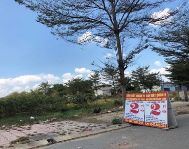 TP Hồ Chí Minh thống nhất không tăng giá đất trong năm 2022