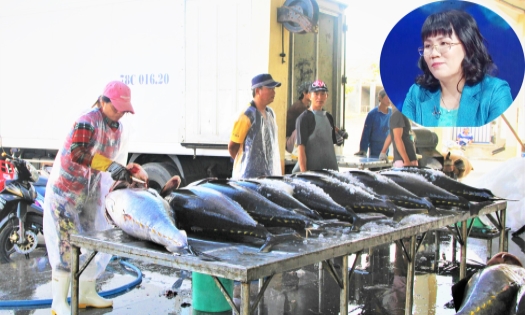 Kỳ vọng những phiên đấu giá cá ngừ đại dương triệu USD ngay tại Phú Yên