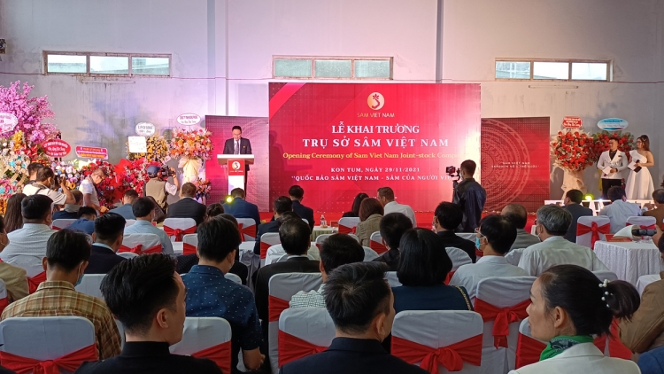 Thực hư Công ty Cổ phần Đầu tư sâm Việt Nam có chục ha sâm Ngọc Linh ở Kon Tum