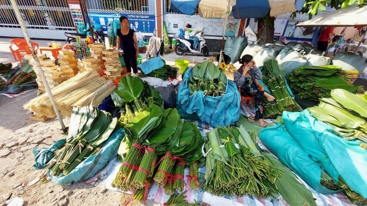 Tiểu thương chợ lá dong nổi tiếng Sài thành nằm vỉa hè hóng mùa Tết lịch sử