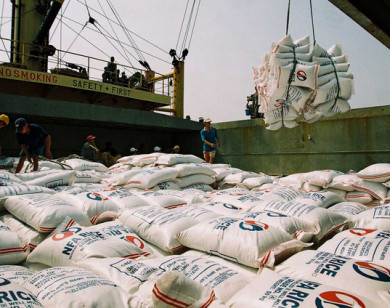 Xuất khẩu gạo tăng mạnh cả về sản lượng và giá trị