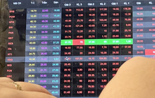 Thị trường chứng khoán biến động sau khi chủ tịch Tập đoàn Tân Hoàng Minh bị bắt
