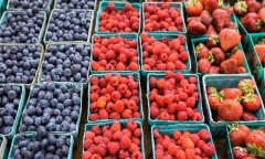 Top 13 thực phẩm chống viêm nhiễm tốt nhất mà bạn nên ăn