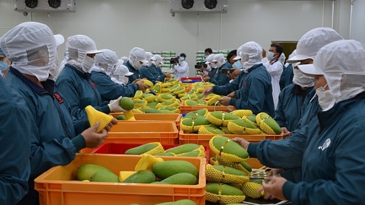 Thúc đẩy hợp tác Việt Nam- EU trong lĩnh vực hàng nông sản