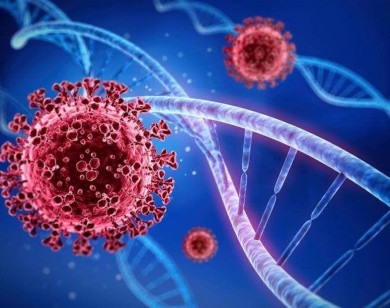 Xuất hiện biến chủng BA.2.12.1 của Omicron ở các tỉnh phía Nam