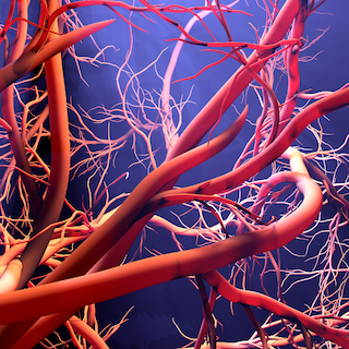 MSC-CM là gì và có tác dụng như thế nào?