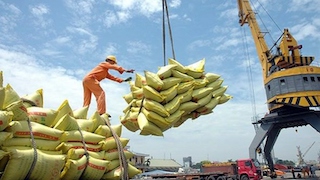 Việt Nam tiếp tục là nhà cung cấp gạo hàng đầu của Philippines