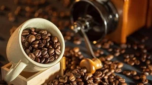 Giá cà phê hôm nay 13/5: Xu hướng giảm bao trùm
