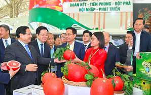 Bước chạy đà cho thị trường Tết