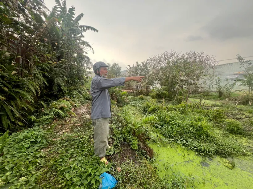 TP. Hồ Chí Minh: Hồ sơ cấp đất bị thu hồi, quyền lợi hợp pháp của dân bị 'treo'?