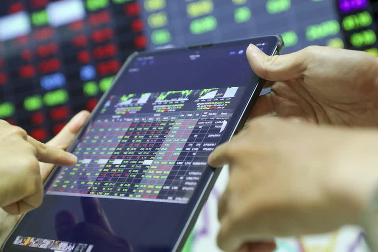 Bamboo Capital dồn lực 